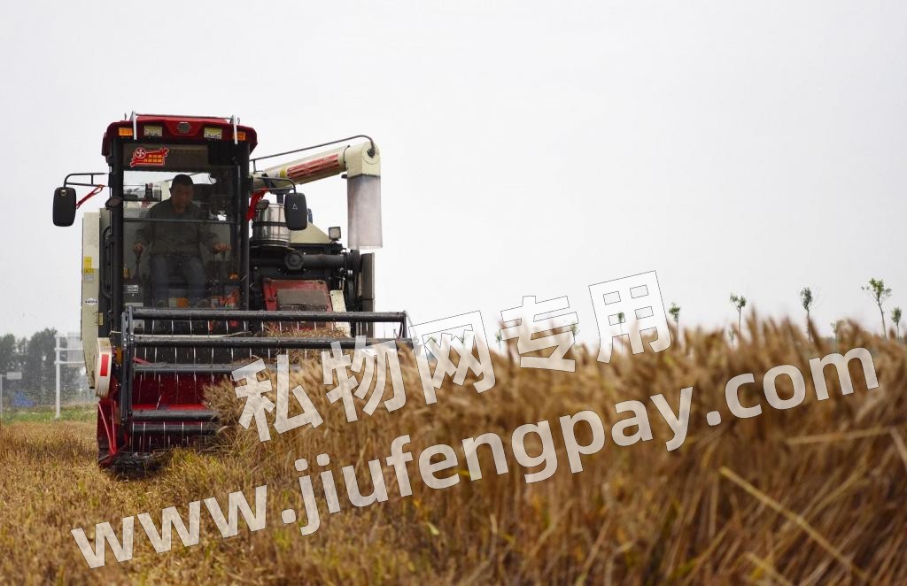 bjT70XxZj693FZpp.jpg